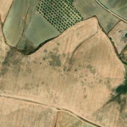 Satellite imagery of survey_point, PT