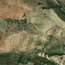 Satellite imagery of survey_point, PT