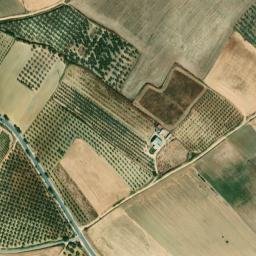 Satellite imagery of survey_point, PT