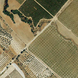 Satellite imagery of survey_point, PT
