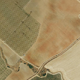 Satellite imagery of survey_point, PT