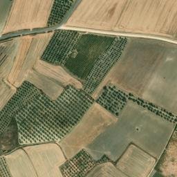 Satellite imagery of survey_point, PT