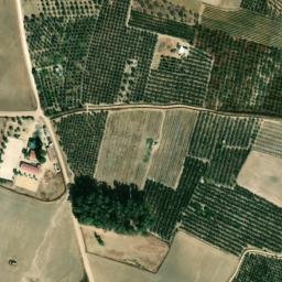 Satellite imagery of survey_point, PT