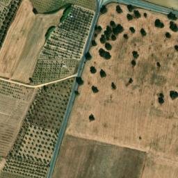 Satellite imagery of survey_point, PT