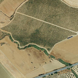Satellite imagery of survey_point, PT