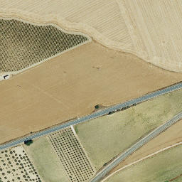 Satellite imagery of survey_point, PT