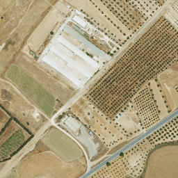Satellite imagery of survey_point, PT