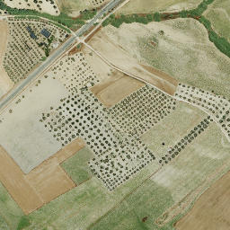 Satellite imagery of survey_point, PT