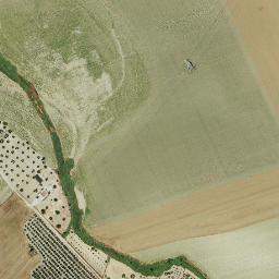 Satellite imagery of survey_point, PT