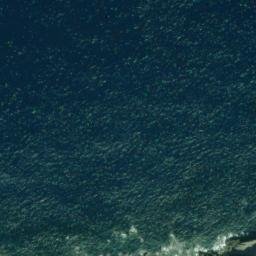 Satellite imagery of Ōnaga Saki, JP