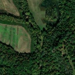 Satellite imagery of Piney Bluff, US