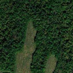 Satellite imagery of Piney Bluff, US