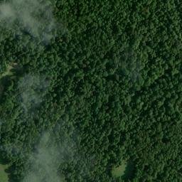 Satellite imagery of Dunbar Bluff, US