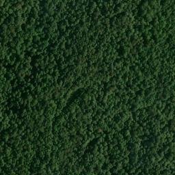 Satellite imagery of Dunbar Bluff, US