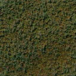 Satellite imagery of Bear Cliff, US