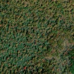 Satellite imagery of Piney Ridge, US