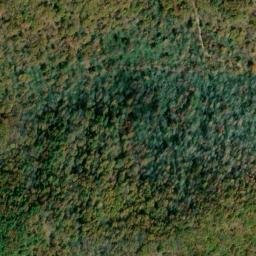 Satellite imagery of Piney Ridge, US
