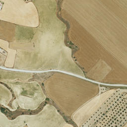 Satellite imagery of survey_point, PT