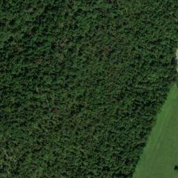 Satellite imagery of Griffith Bluff, US