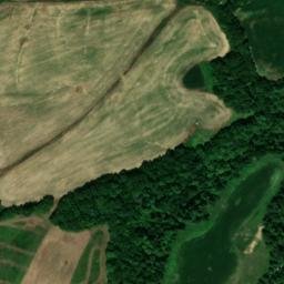 Satellite imagery of Buzzard Roost Bluff, US