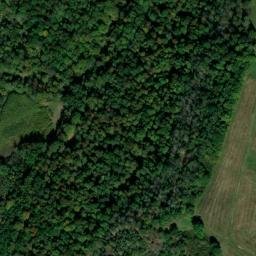 Satellite imagery of Piney Bluff, US