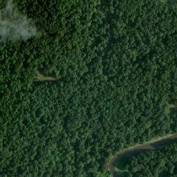 Satellite imagery of Dunbar Bluff, US