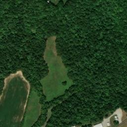 Satellite imagery of Buzzard Roost Bluff, US