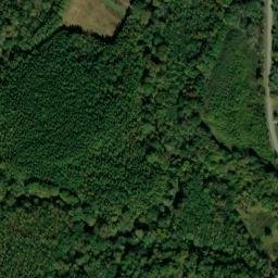 Satellite imagery of Piney Bluff, US