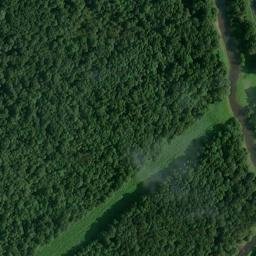 Satellite imagery of Dunbar Bluff, US
