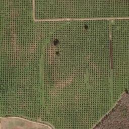 Satellite imagery of survey_point, PT
