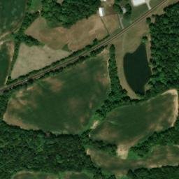 Satellite imagery of Buzzard Roost Bluff, US