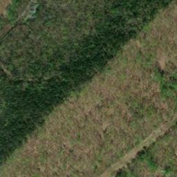 Satellite imagery of Green Ridge, US