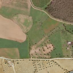 Satellite imagery of survey_point, PT