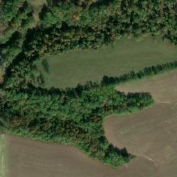 Satellite imagery of Wilson Ridge, US