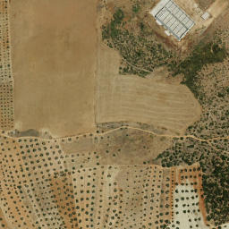Satellite imagery of survey_point, PT