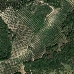 Satellite imagery of survey_point, ES