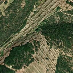 Satellite imagery of survey_point, ES