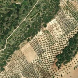 Satellite imagery of survey_point, ES