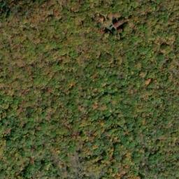 Satellite imagery of Piney Ridge, US