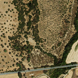 Satellite imagery of survey_point, PT