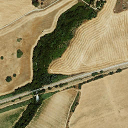 Satellite imagery of survey_point, PT