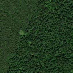 Satellite imagery of Newmans Bluff, US