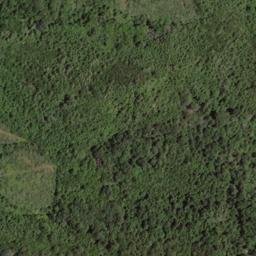 Satellite imagery of Hurricane Ridge, US