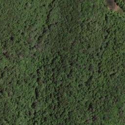 Satellite imagery of Hurricane Ridge, US