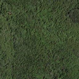 Satellite imagery of Hurricane Ridge, US