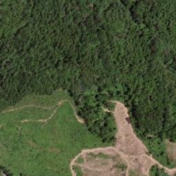Satellite imagery of Hurricane Ridge, US
