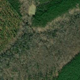 Satellite imagery of Wheeler Cliff, US