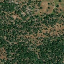 Satellite imagery of Lily Mine, US