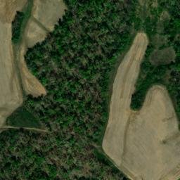 Satellite imagery of Wilson Bluff, US