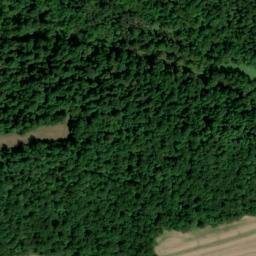 Satellite imagery of Morse Bluff, US